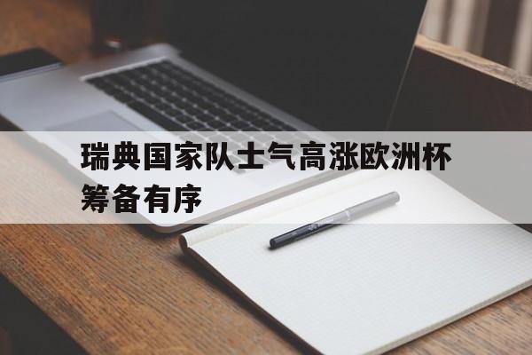 关于瑞典国家队士气高涨欧洲杯筹备有序的信息